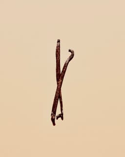 Vanilla Bean