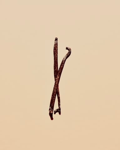 Vanilla Bean